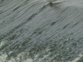 DSC05648.JPG