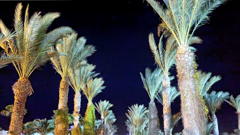IMG20260914203522