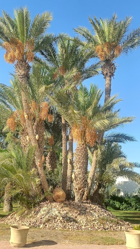 IMG20260910161113