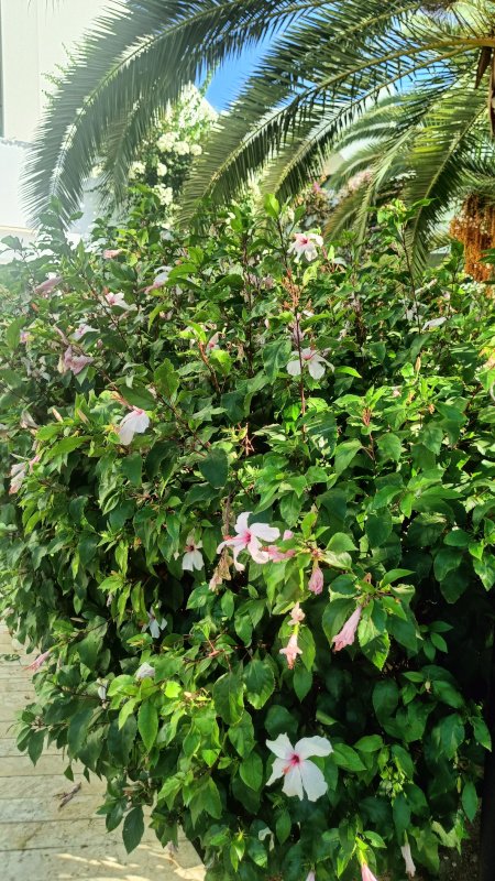 IMG20260910161420
