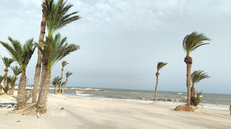 IMG20260912163058
