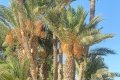 IMG20260910161113