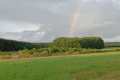 IMG20260515194938