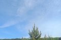 IMG20260517094125