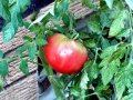 DSC00577