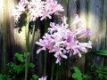 DSC00578