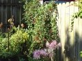DSC00582