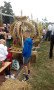 IMG_20170813_172037