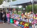 IMG_20170813_173122