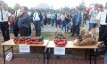 IMG_20170813_173319
