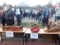 IMG_20170813_173319