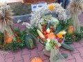 IMG_20170813_173835