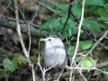DSC07204