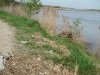 dsc08982