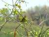 dsc09001