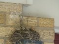 DSC00566