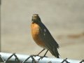 DSC04972
