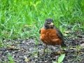 DSC05329