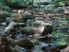 dsc04054s