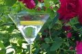 20190629_135856