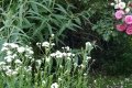 20190629_162550