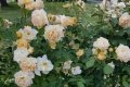 20190629_193945
