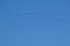 DSC07297