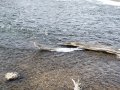 DSC03728