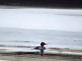 DSC03733