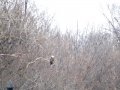 DSC03735