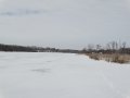 DSC03768