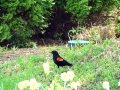 DSC09614