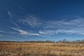 D85_2490