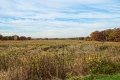 D85_1630z-nefa