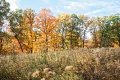 D85_1655z-nefa