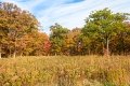 D85_1656z-nefa