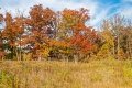 D85_1657z-nefa