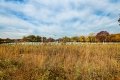 D85_1659z-nefa