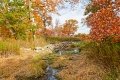 D85_1663z-nefa