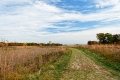 D85_1671z-nefa