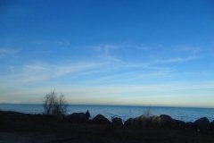 DSC04419