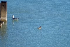 DSC05118