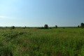D85_1417a
