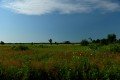 D85_1420a