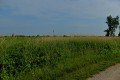 D85_1423a