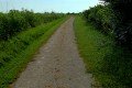 D85_1424a