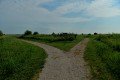 D85_1427a
