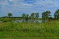 D85_1428a