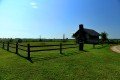 D85_1431a
