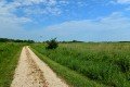 D85_1432a